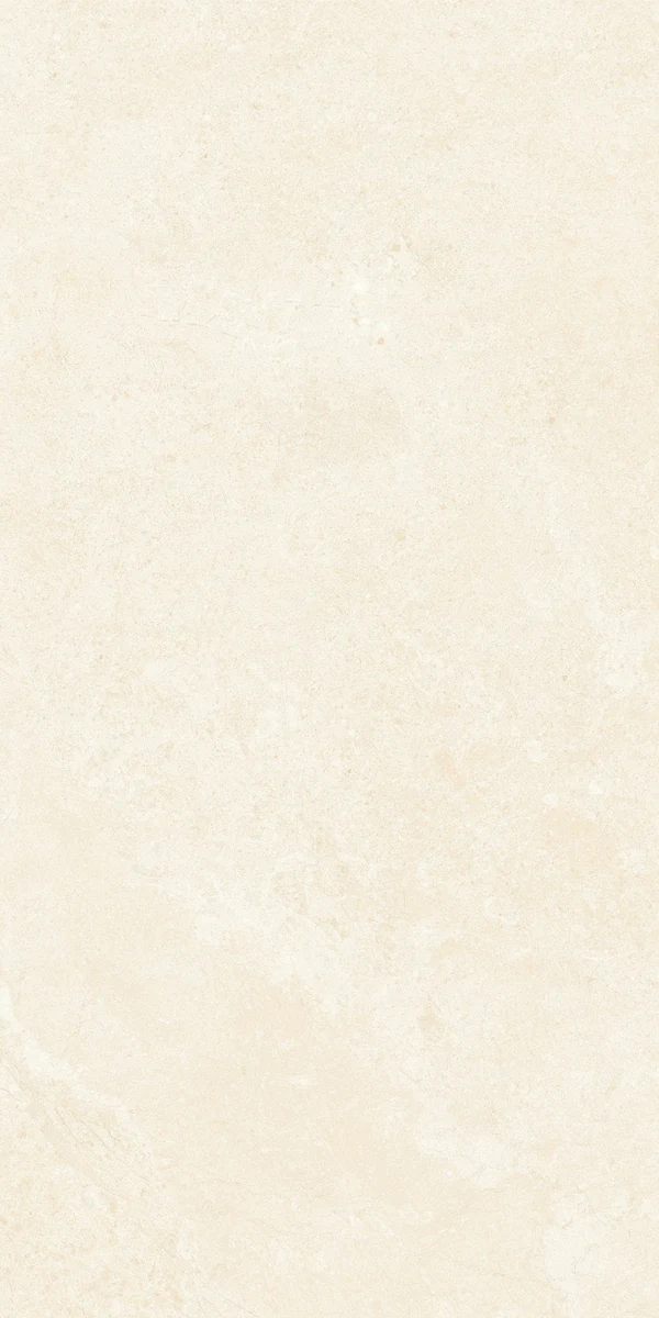 face 6